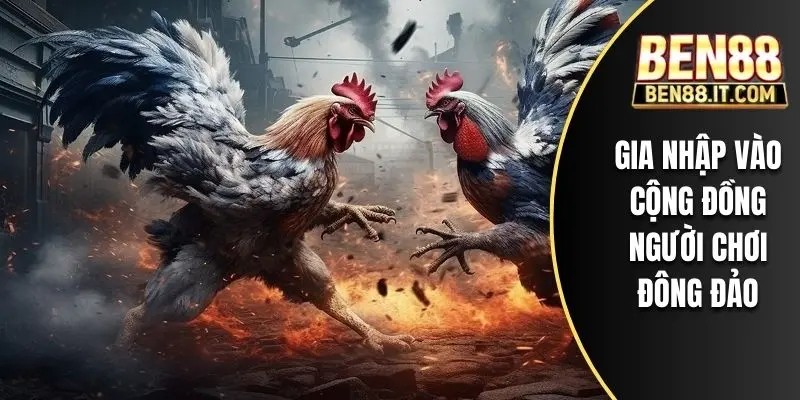 Gia nhập vào cộng đồng người chơi đông đảo