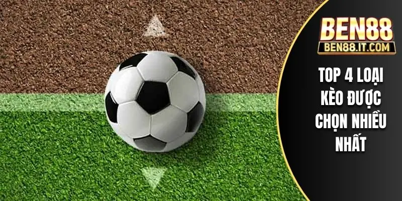 Top 4 loại kèo được chọn nhiều nhất