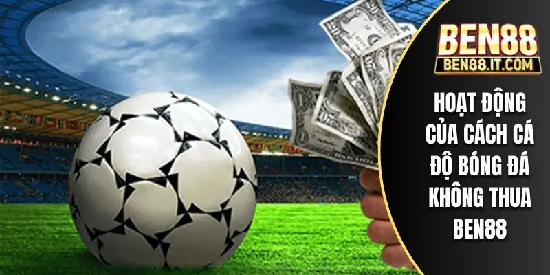 Hoạt động của cách cá độ bóng đá không thua BEN88