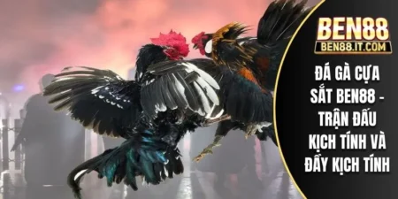 Đá Gà Cựa Sắt BEN88 - Trận Đấu Kịch Tính Và Đầy Kịch Tính