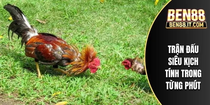 Trận đấu siêu kịch tính trong từng phút